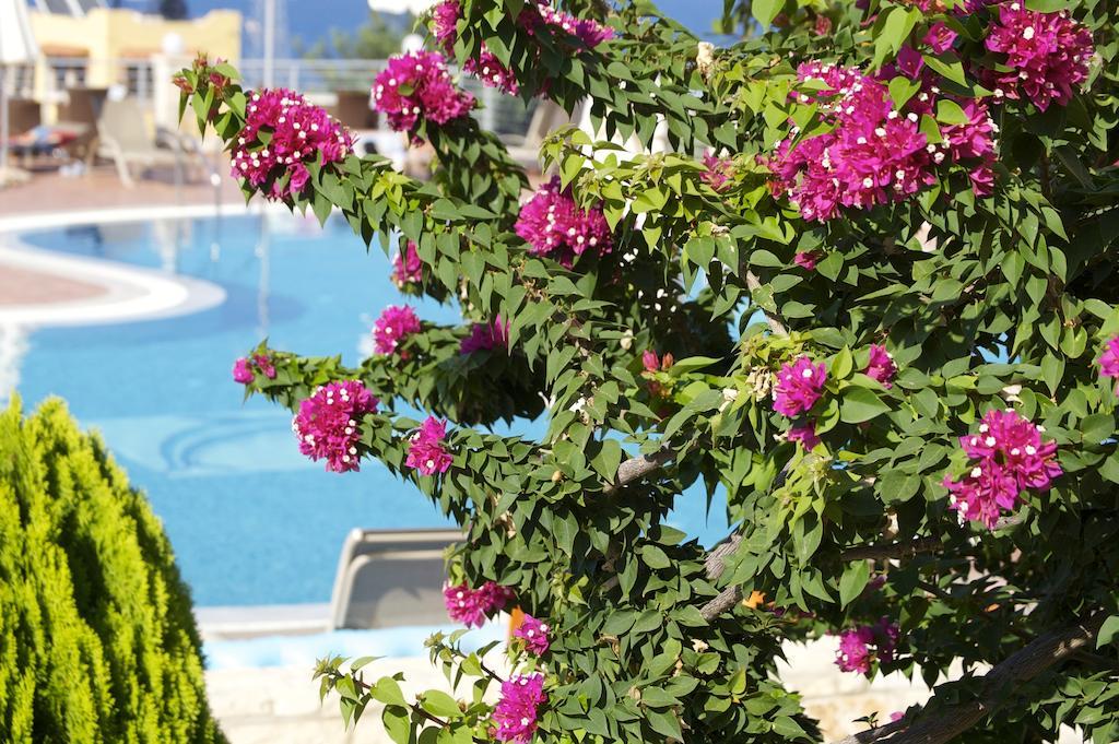 Pilot'S Villas Luxury Suites Χερσόνησος Εξωτερικό φωτογραφία